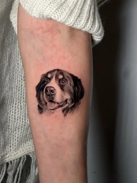 Tatuaggio: ritratto microrealistico di un cane a pelo lungo sull'avambraccio, di Ilaria - White Garden Tattoo, Roma Colli Aniene