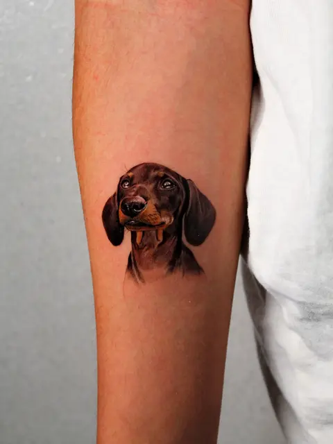 Tatuaggio: ritratto microrealistico di un bassotto, di Ilaria - White Garden Tattoo, Roma Colli Aniene