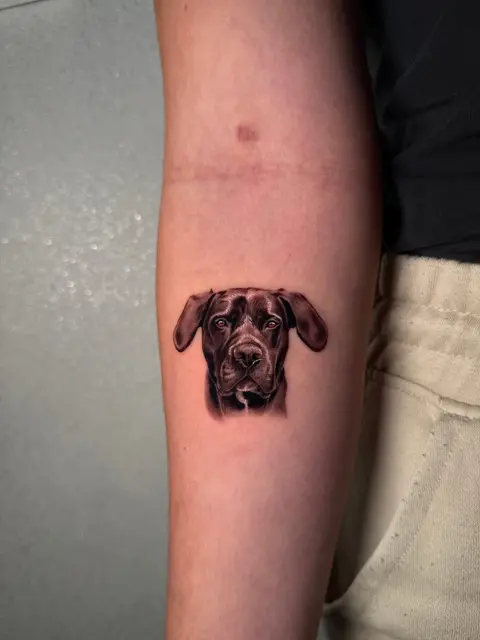 Tatuaggio: ritratto microrealistico di un cane dal muso scuro, di Ilaria - White Garden Tattoo, Roma Colli Aniene